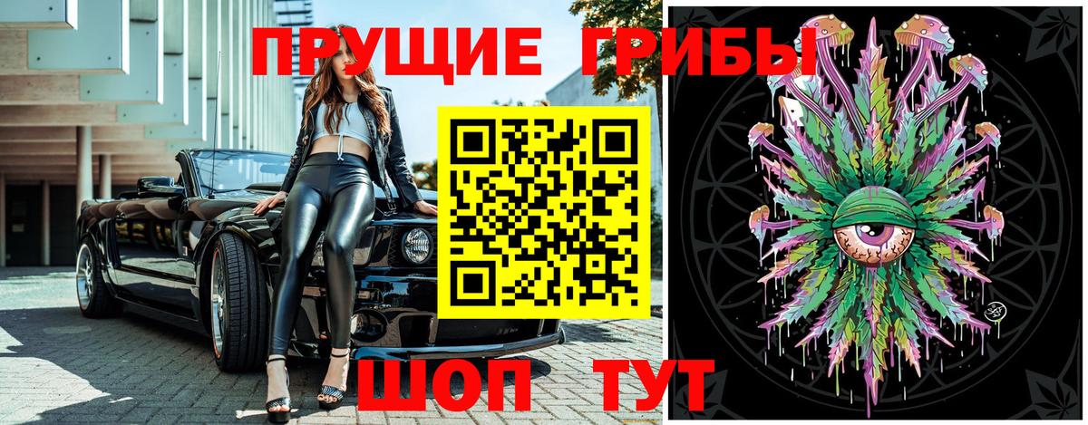 Галлюциногенные грибы Psilocybe Печора